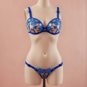 2-Piece Blue Sheer Embroidered Bra and Panty Set – Push Up Lingerie